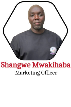 Shangwe Mwakihaba, Marketing Officer